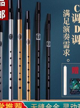 高音子哨金属爱尔兰哨金属入门直D/笛调乐器初学者竖笛6孔C笛专业