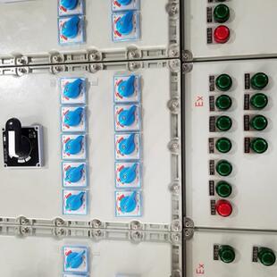 应急照明集中电源防爆箱 防爆控制箱 防爆接线箱 防爆配电箱 浙创