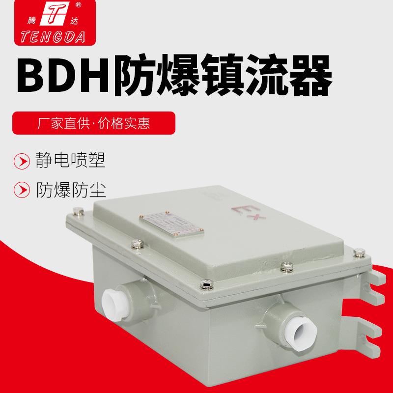 厂家BDH-L250w金卤灯防爆镇流器 70-400W防爆电器箱外壳