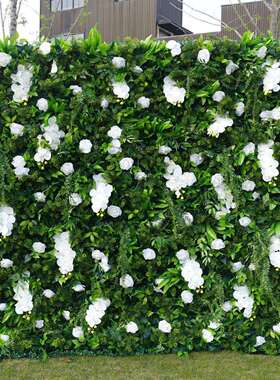 5D布底仿真玫瑰花墙森系绿植墙绿色婚庆花艺背景装饰蝴蝶兰植物墙