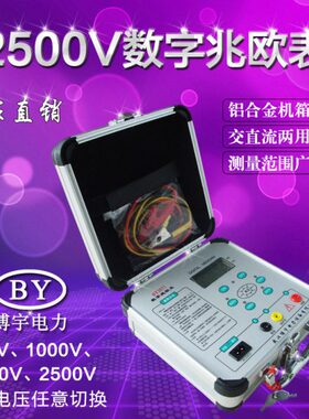 671)数字兆欧表DM250数字摇数字(0绝缘电阻测试仪表摇 G2表F  V