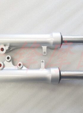 - S14彩2525Q碟刹4S1 睿BQ前T踏板车丽前-避震/付前叉2一彩减震