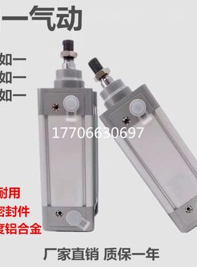 标准气缸DNC-125-25-30-60-75-100-150-200-300-400-500-PPV-A