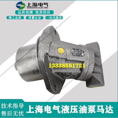 上海电气马达A2FE56/63/80/90/107/125W6.1VZL10PT2017斜轴柱塞泵