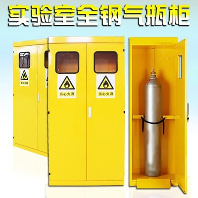 皇鹏实验室气瓶柜 单瓶安全柜气瓶储存柜医院工厂全钢双钢瓶柜