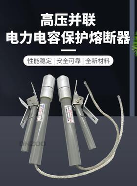 BR2BRWBRN-10/120A150A160A200A电力电容器保护高压熔断器