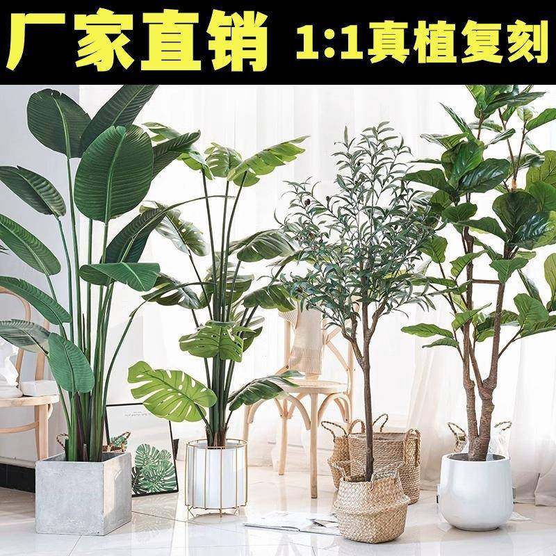 简约风仿真树落地摆件高端轻奢家居装饰盆景仿真绿植旅人蕉,鲜花速递/花卉仿真/绿植园艺,其它园艺用品,淘宝优惠券,粉丝福利购,淘宝优惠卷