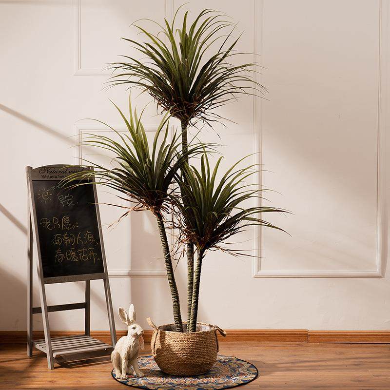 假树龙血树盆栽盆景室内客厅落地绿植植物造景装饰品摆件仿真花,鲜花速递/花卉仿真/绿植园艺,其它园艺用品,淘宝优惠券,粉丝福利购,淘宝优惠卷