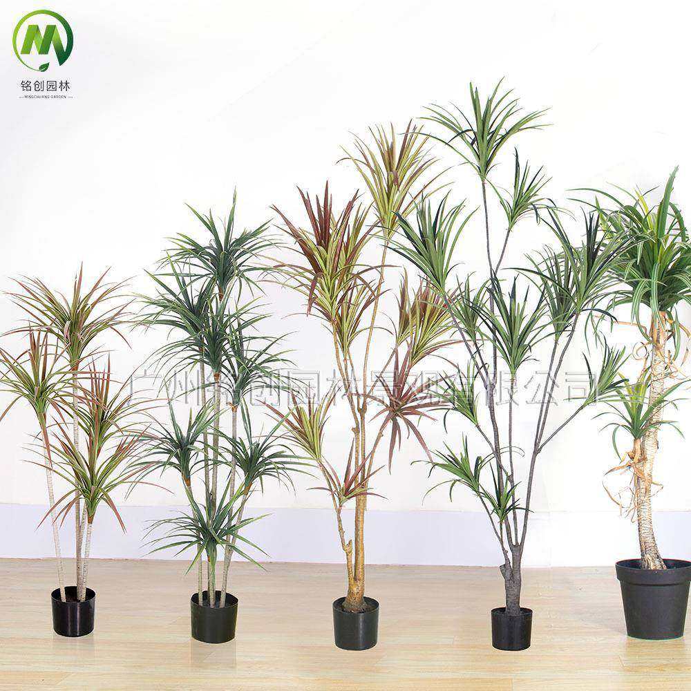 仿真龙血树千年木仿真绿植盆栽室内装饰仿真龙血铁树仿真树假绿植,鲜花速递/花卉仿真/绿植园艺,其它园艺用品,淘宝优惠券,粉丝福利购,淘宝优惠卷