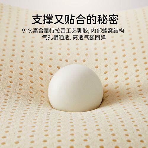 林芃蓝湾棕榈床垫椰棕硬垫山棕垫护脊家用卧室乳胶定制适老床垫