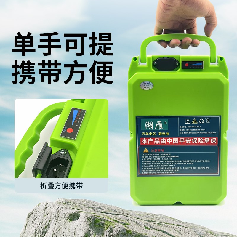 电动割草机背包式锂电池手电钻采茶机24v48v60v潜水泵大容量电瓶
