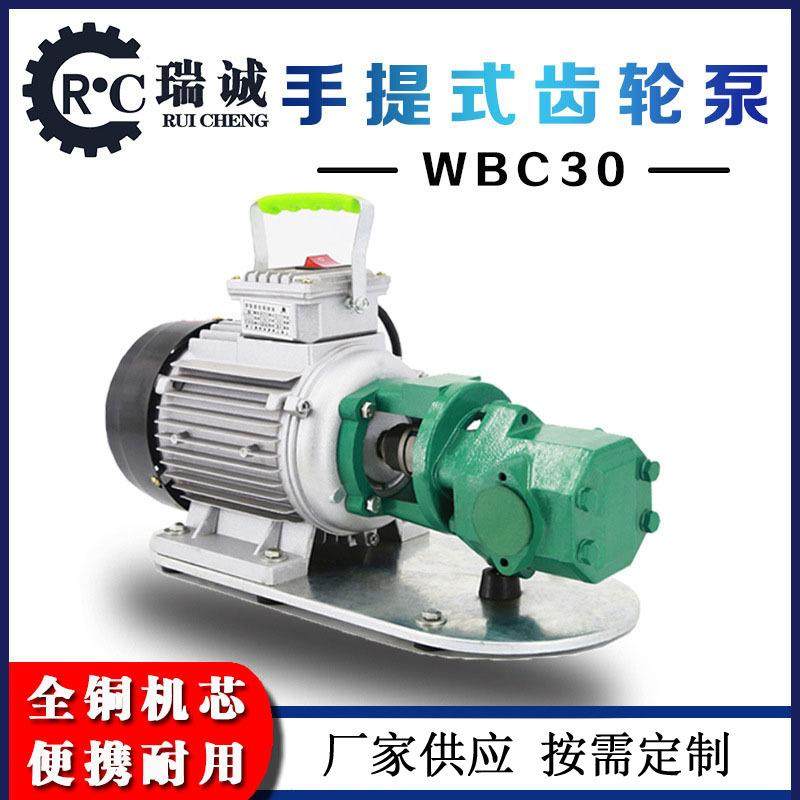 厂家供应WCB30电动便携手提齿轮泵自吸式小流量抽油泵,五金/工具,其它泵类型,淘宝优惠券,粉丝福利购,淘宝优惠卷