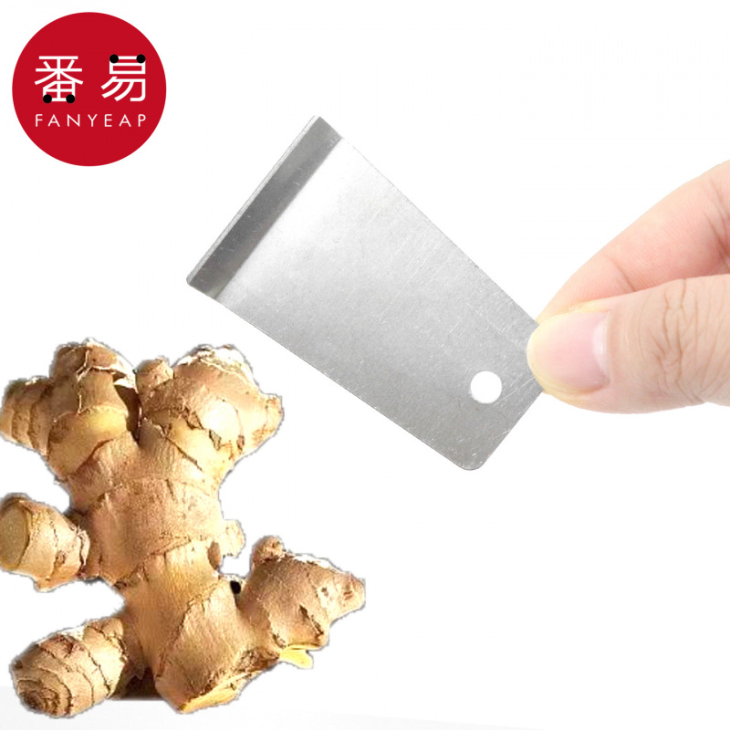 T生姜刮皮器A1pq801-家用刨姜器厨房不锈钢刨姜刮皮刀生姜去皮器