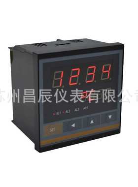 XSK-DT2A1V0 LED控制仪 快速测控型数显表 数字显示报警仪 数显仪