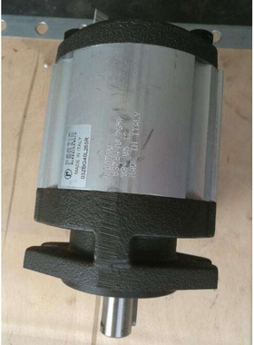 意大利RONZIO罗茨02ZMAG20E041R全系齿轮泵 液压马达 选型 参数