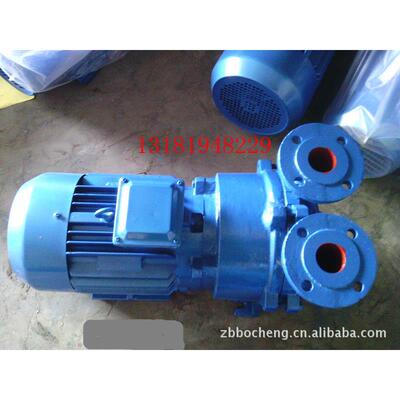 2BV5110.水环式真空泵