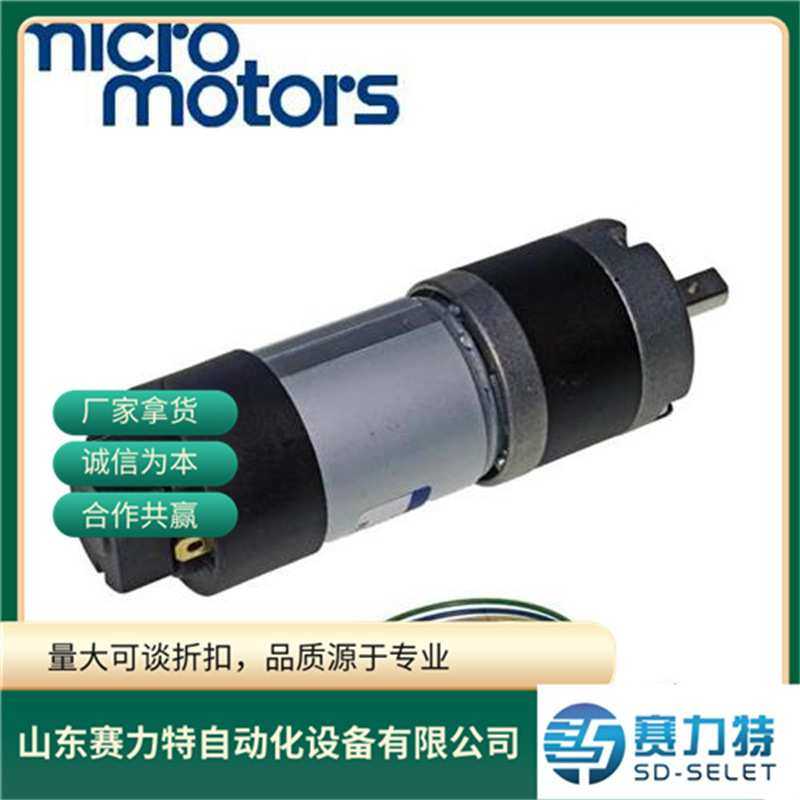 意大利MICRO MOTORS微型直流电机PS150-12-12