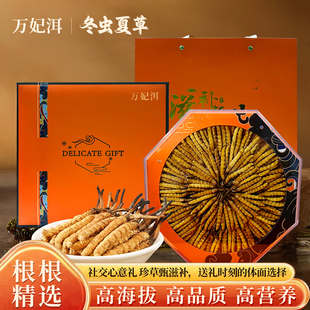 万妃洱冬虫夏草滋补高品质虫草营养品礼盒装 送领导长辈囤货礼盒