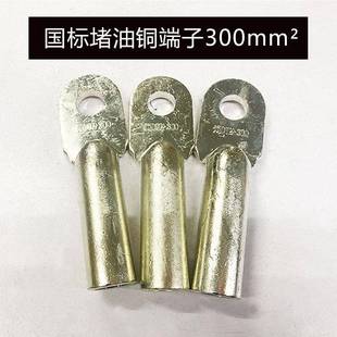 国标铜鼻子DTM 300mm²线鼻子铜接线端子电缆堵油铜线耳镀锡加厚