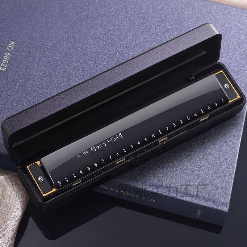 口琴24孔复音C调28孔重音高级成人儿童初学者专业演奏级入门