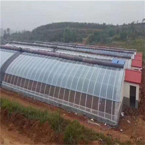 无后墙全钢管式日光温室大棚花卉种植展览育苗基地专业生产厂家