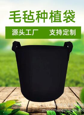 手提式毛毡植物种植袋袋蔬菜生长袋异型growbag无纺布美植袋创意