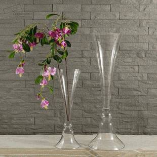 简约风格 小清新花瓶高瓶底宽口径透明玻璃插花花瓶 欧式