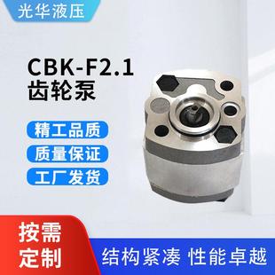 齿轮泵小型微型齿轮泵CBK 齿轮油泵 F2.1液压动力单元
