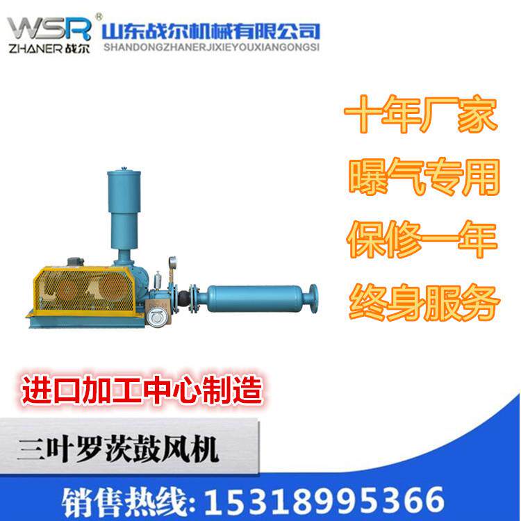 山东三叶罗茨鼓风机战尔机械DN503KW电机低噪音罗茨风机曝气风机