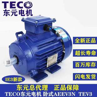 马达 TEV3系列 GB3 TECO东元 AEEV3N040040YWE 东元 IE3能效 电机