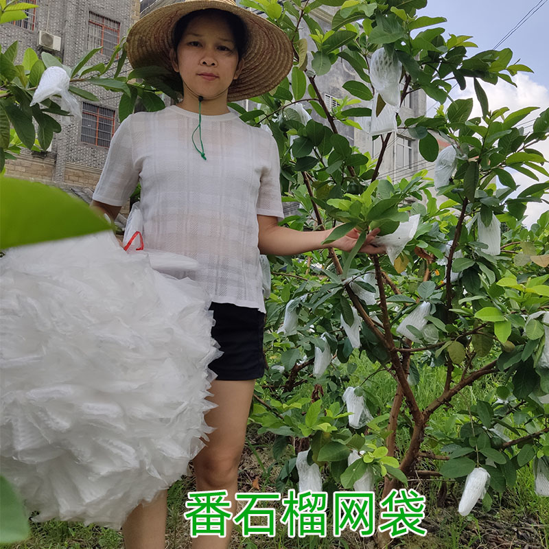 番石榴套袋芭乐防病害虫网袋专用一体泡沫包装袋自Y带排水排气孔