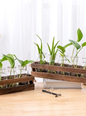 水培植物木架家居办公室桌面水养植物插H花摆件大开口木框玻璃花