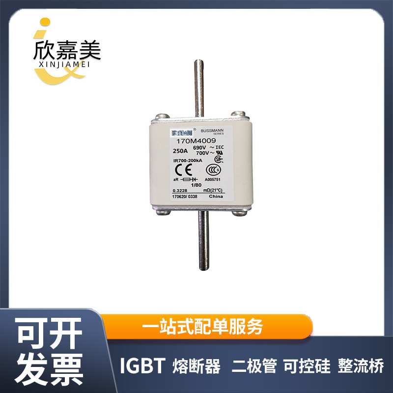 170M4009 170M4010 快速熔断器  电子元器件 库存充足 量大价优