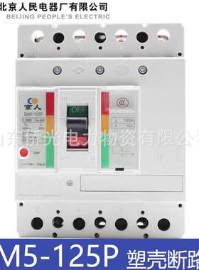 北京人民电器GM5-125P 100A125A DC1000V Y2B Y1D光伏塑壳断路器