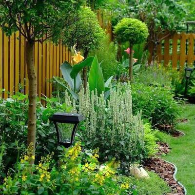 户外庭院绿植造景花镜植物搭配阳台花园民宿改造耐寒耐热四季常绿