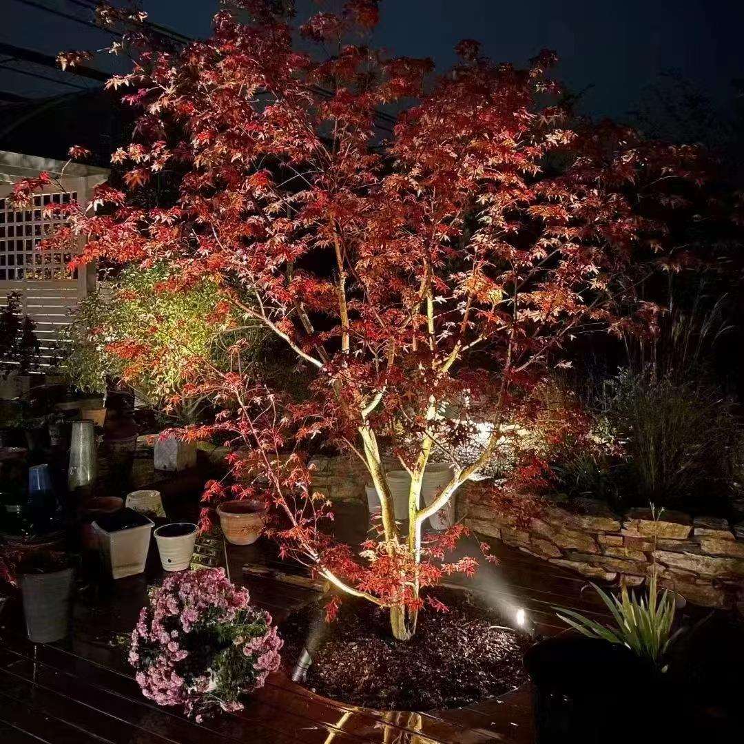 地插灯插地插泥低压照树灯景观射灯led射树灯户外防水花园草坪灯