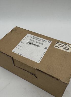 EndressHauser52006197Termina模块