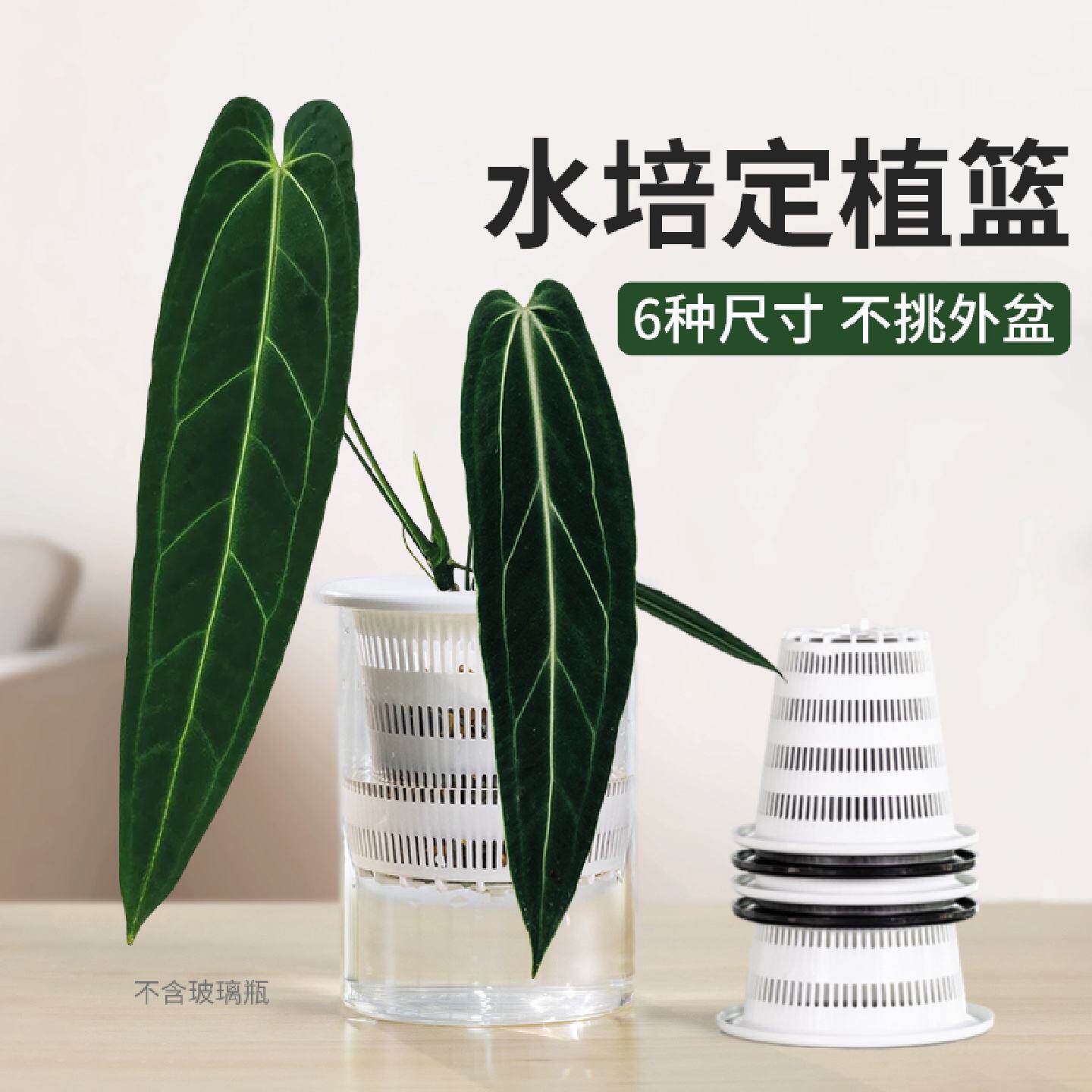 美莳水培花盆内篮塑料水养植物控根定植篮种植固定篮绿萝吊兰器皿