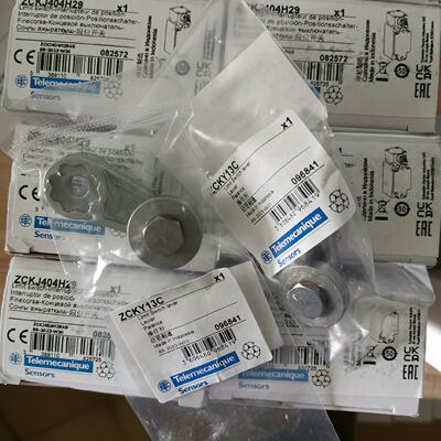 ZCKJ404H29限位开关行程开关XCKJ拍前询价下单