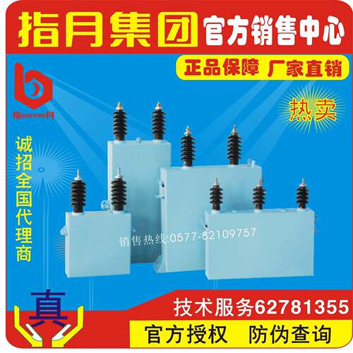 指月高压并联电容器BFMR11-100-3W,BAMR11-100-3W,BWMR11-100-3W