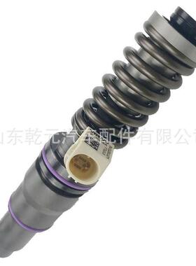 燃油系统喷油器BEBE4D24001喷射泵泵喷嘴总成