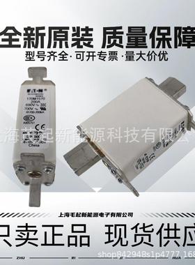 170M1320 170M1411 170M1570 170M1565 170M1321 170M1322 熔断器