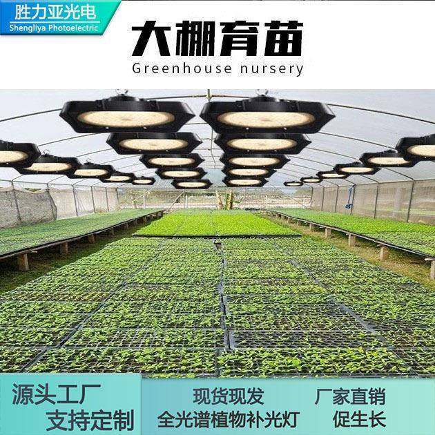 室内补光灯植物仿太阳光照模拟多肉全光谱生长阳台光合作用大功率