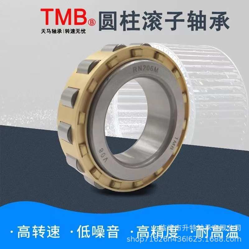 TMB减速机偏心轴承RN324 RN328 RN330  RN334 RN336 RN322 M