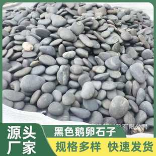 河滩石河床石水洗石杂河石青色灰色变压器石头瓜米石黑色鹅卵石子