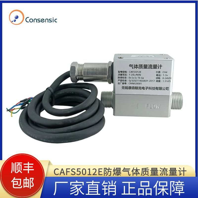 Consensic天然气煤气空气防爆气体质量流量计CAFS5012E高精度流量