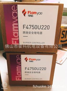 FLAMYAM程序控制器F4750U220