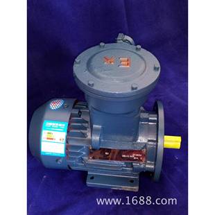 4KW4级防爆三相异步电动机防 实体厂家江苏新大力供应YB3 112M