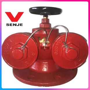 现货天广水泵接合器SQD100-1.6地下水泵接合器SQS150-2.5（铜扣）