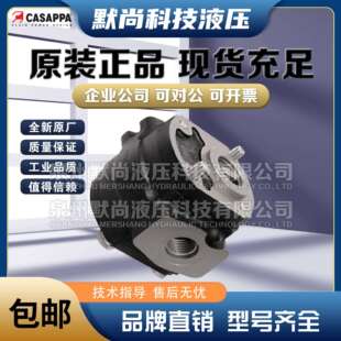 凯斯帕液压泵CASAPPA齿轮泵WSP10-1/1.5/2/2.5/4/5/5.8/6.3/8油泵